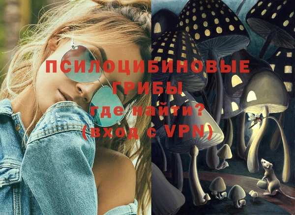 гидра Новодвинск