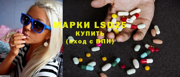 хмурый Алзамай