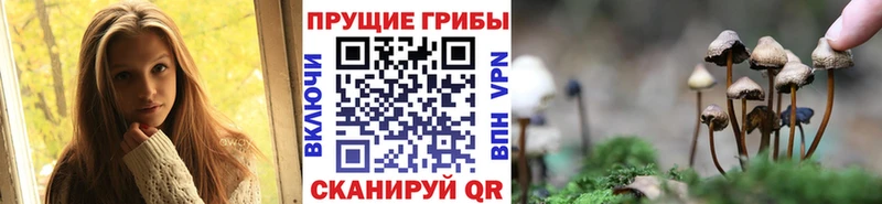 Псилоцибиновые грибы Psilocybe Салехард